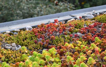 the cost of Rack End green roof installation